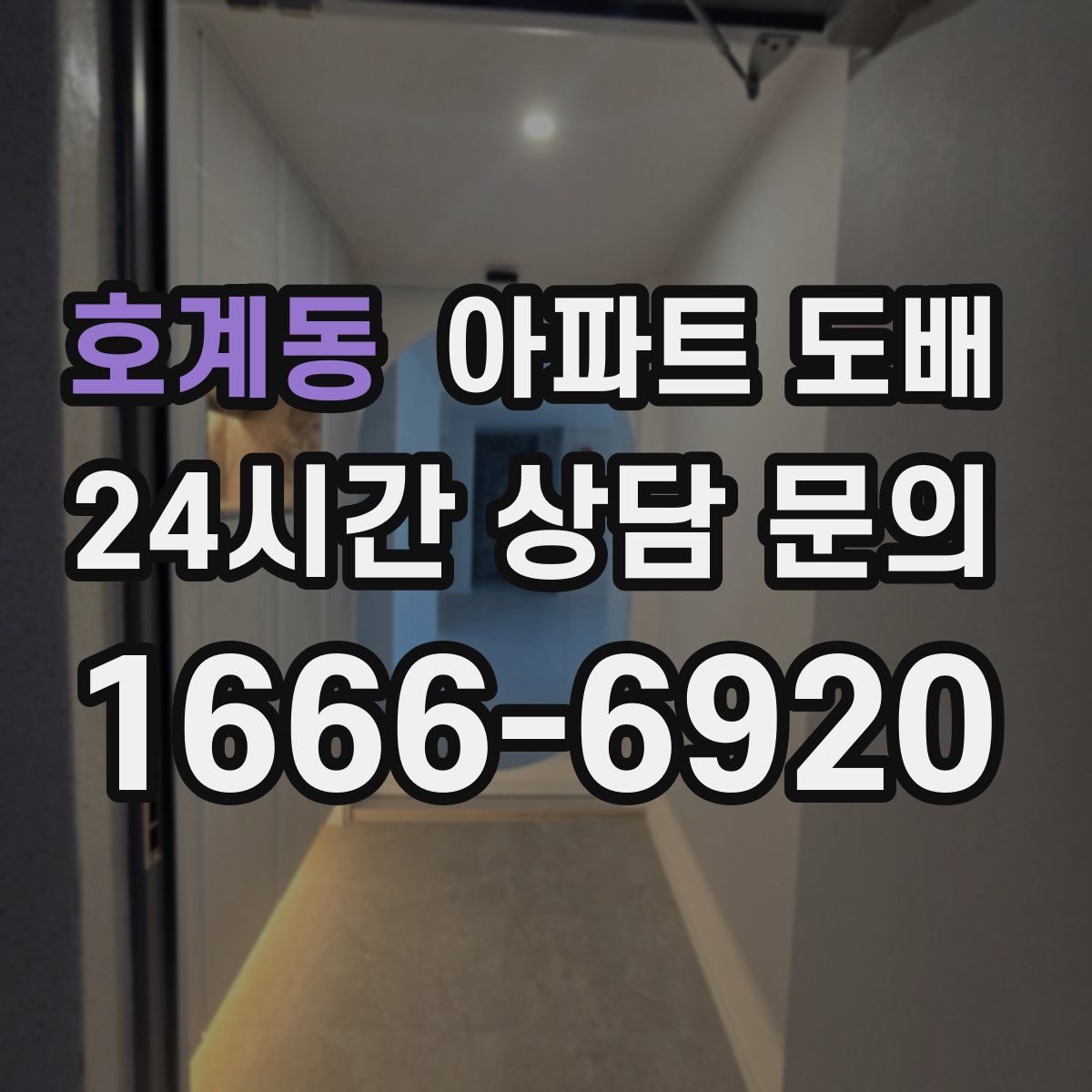 호계동 아파트 도배