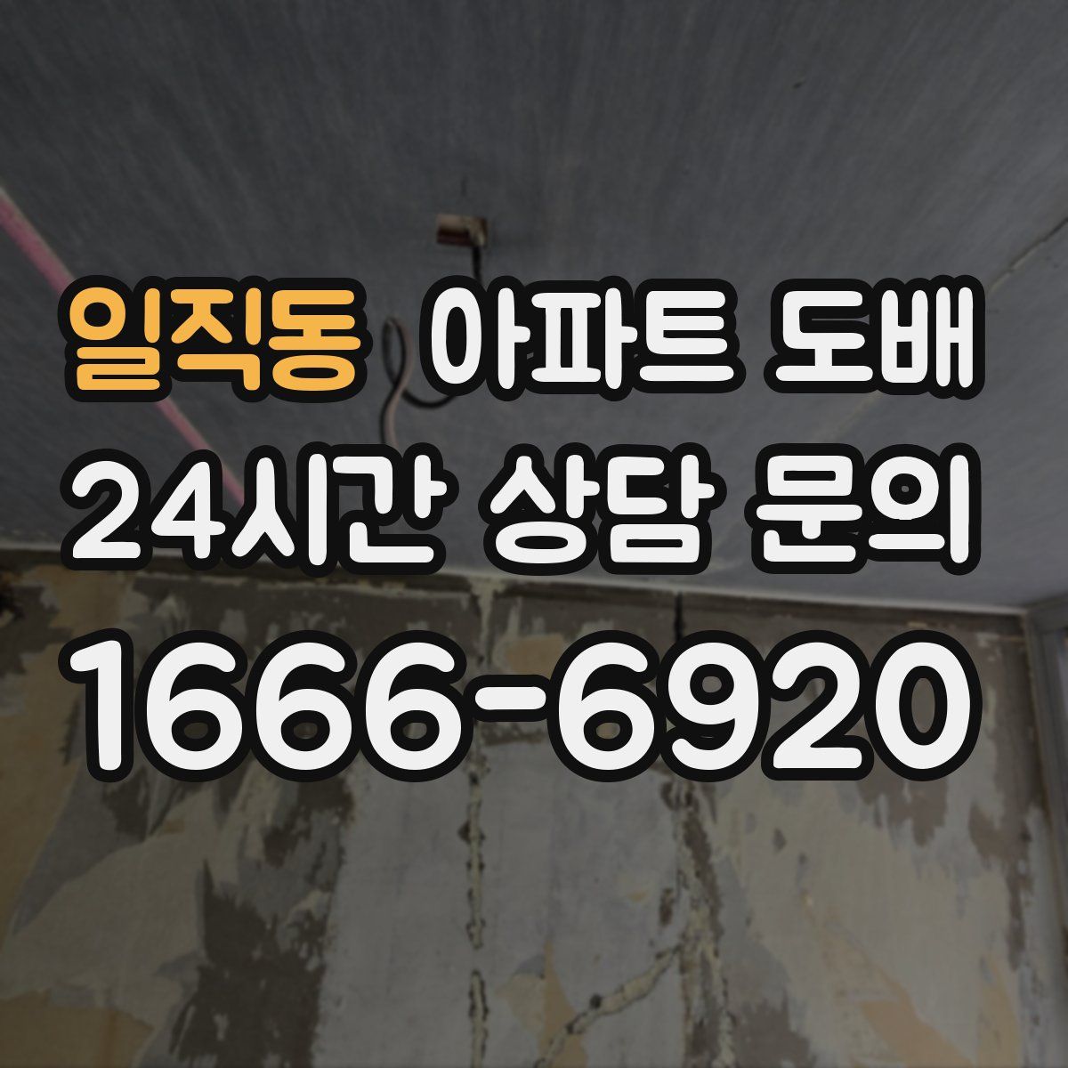 일직동 아파트 도배