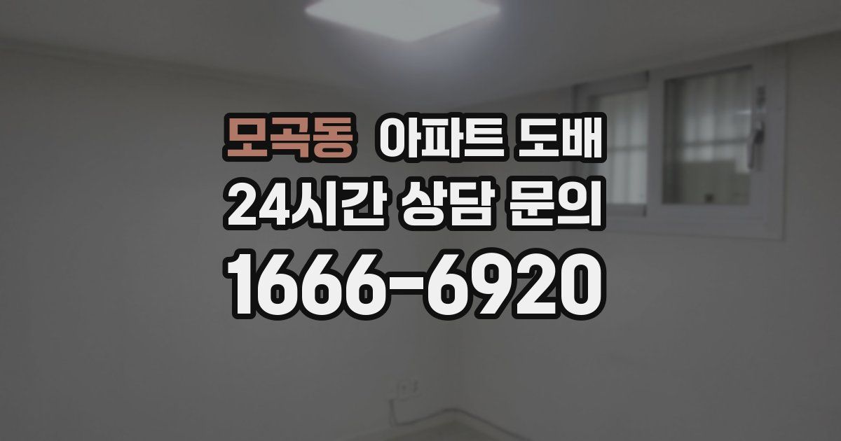 모곡동 아파트 도배