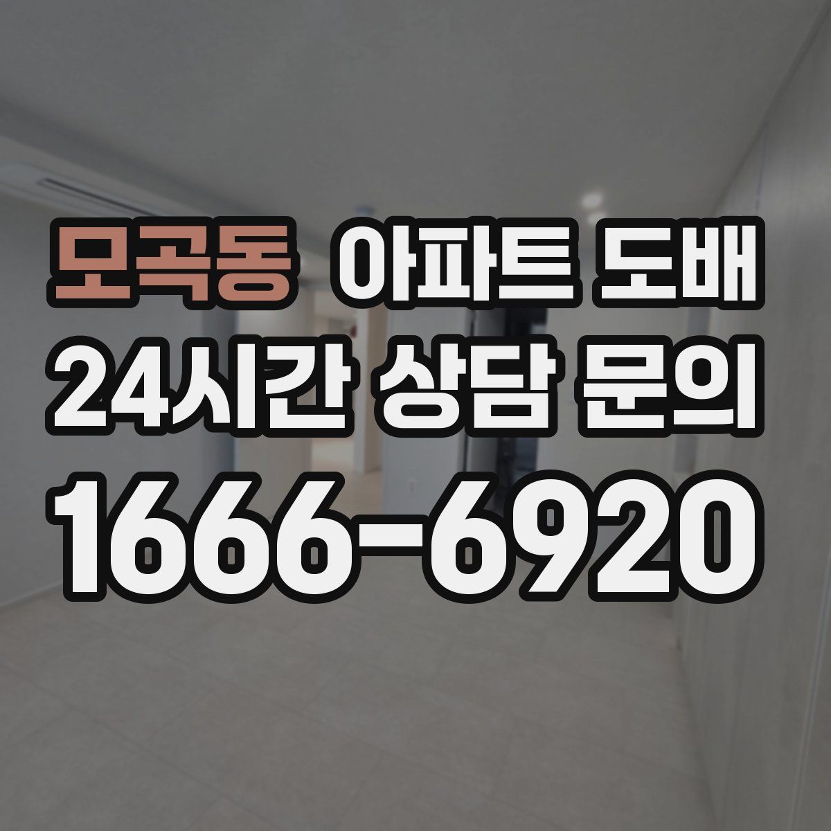모곡동 아파트 도배
