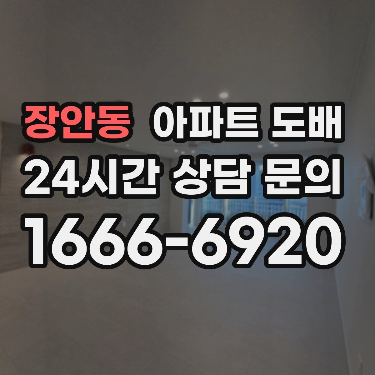 장안동 아파트 도배