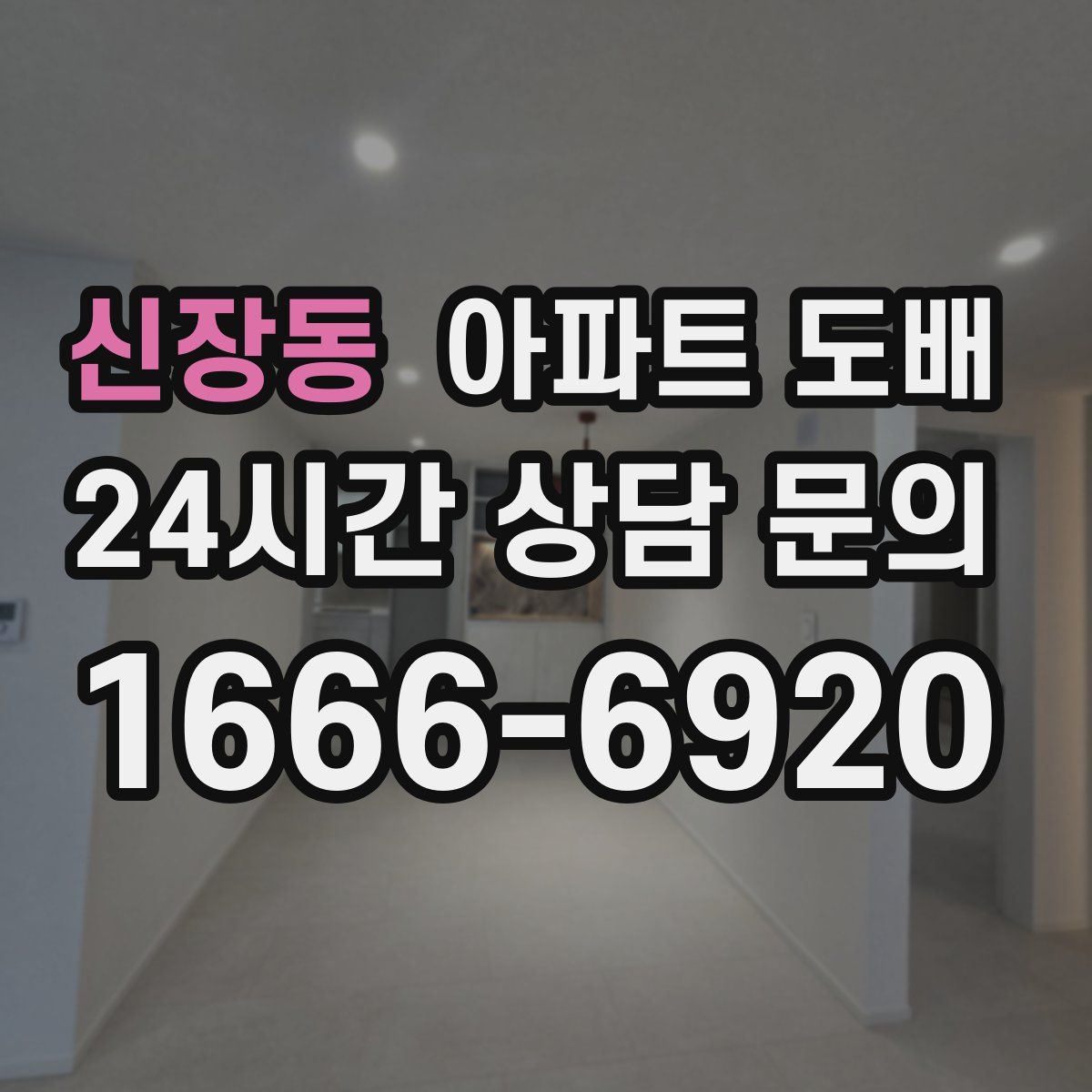 신장동 아파트 도배