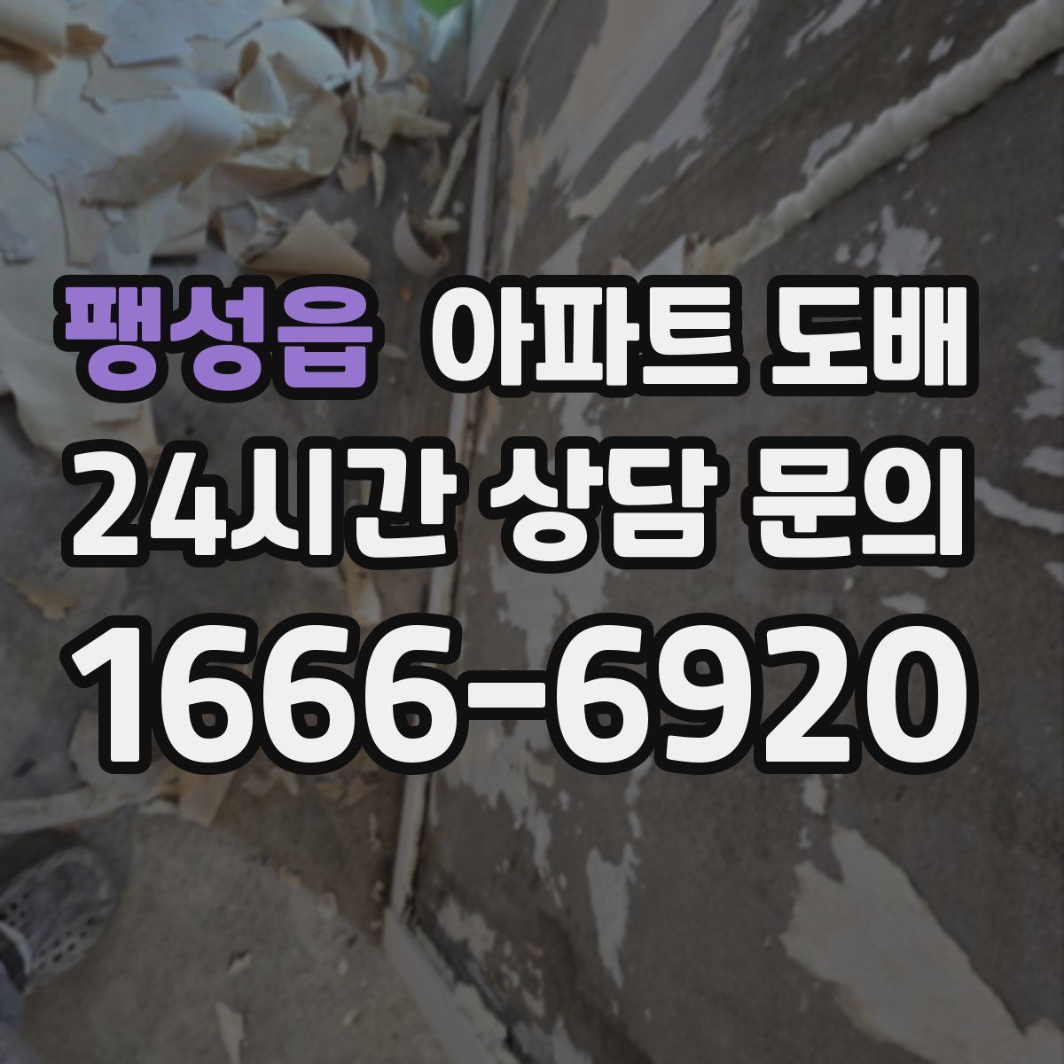 팽성읍 아파트 도배