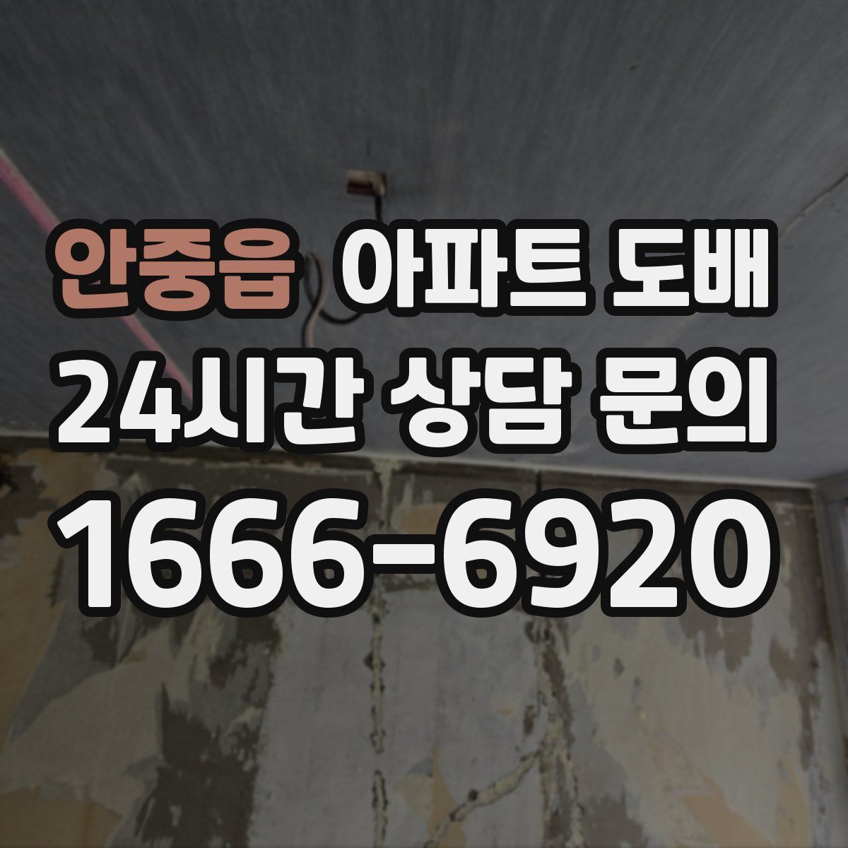 안중읍 아파트 도배