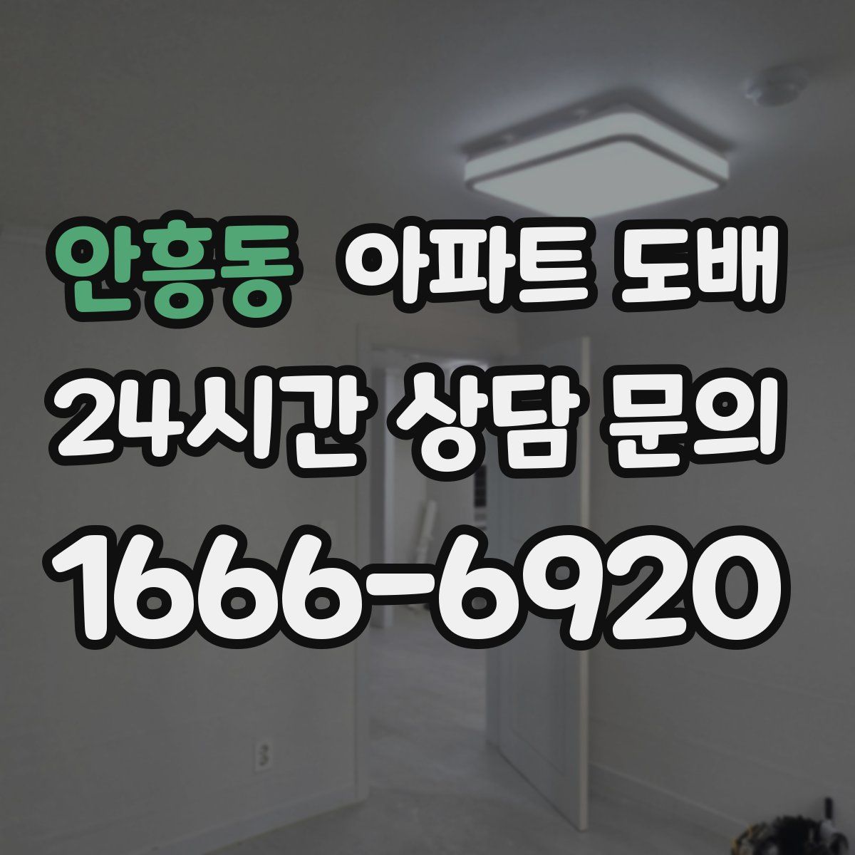 안흥동 아파트 도배