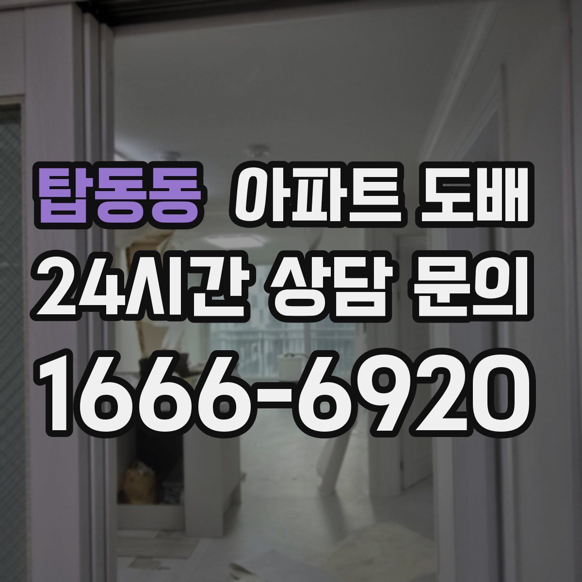 탑동동 아파트 도배