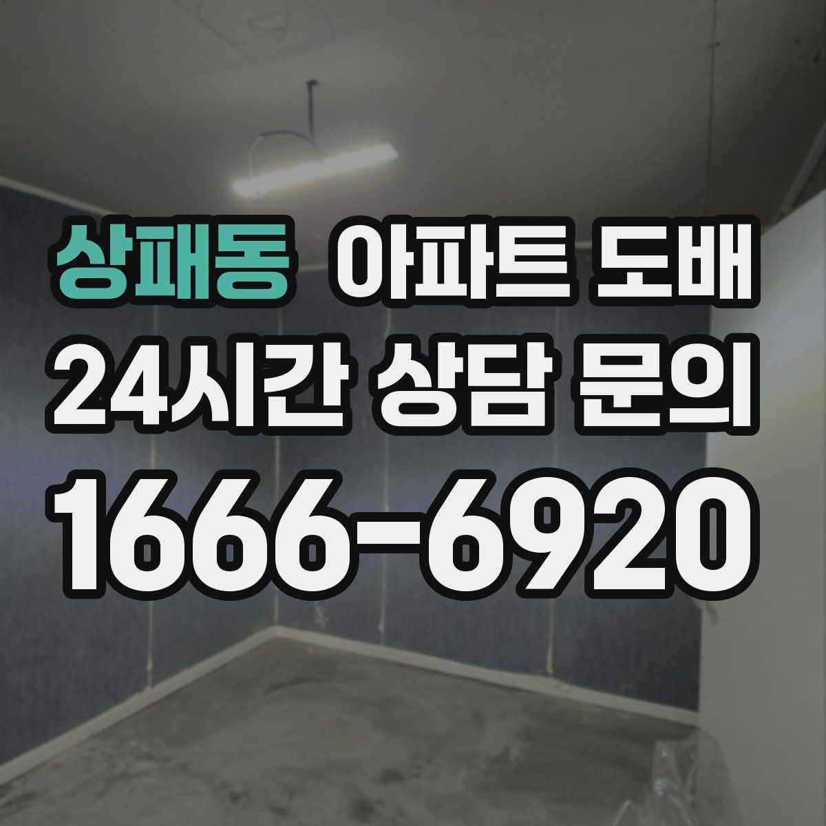 상패동 아파트 도배