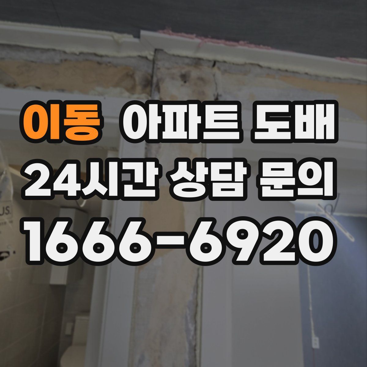 이동 아파트 도배