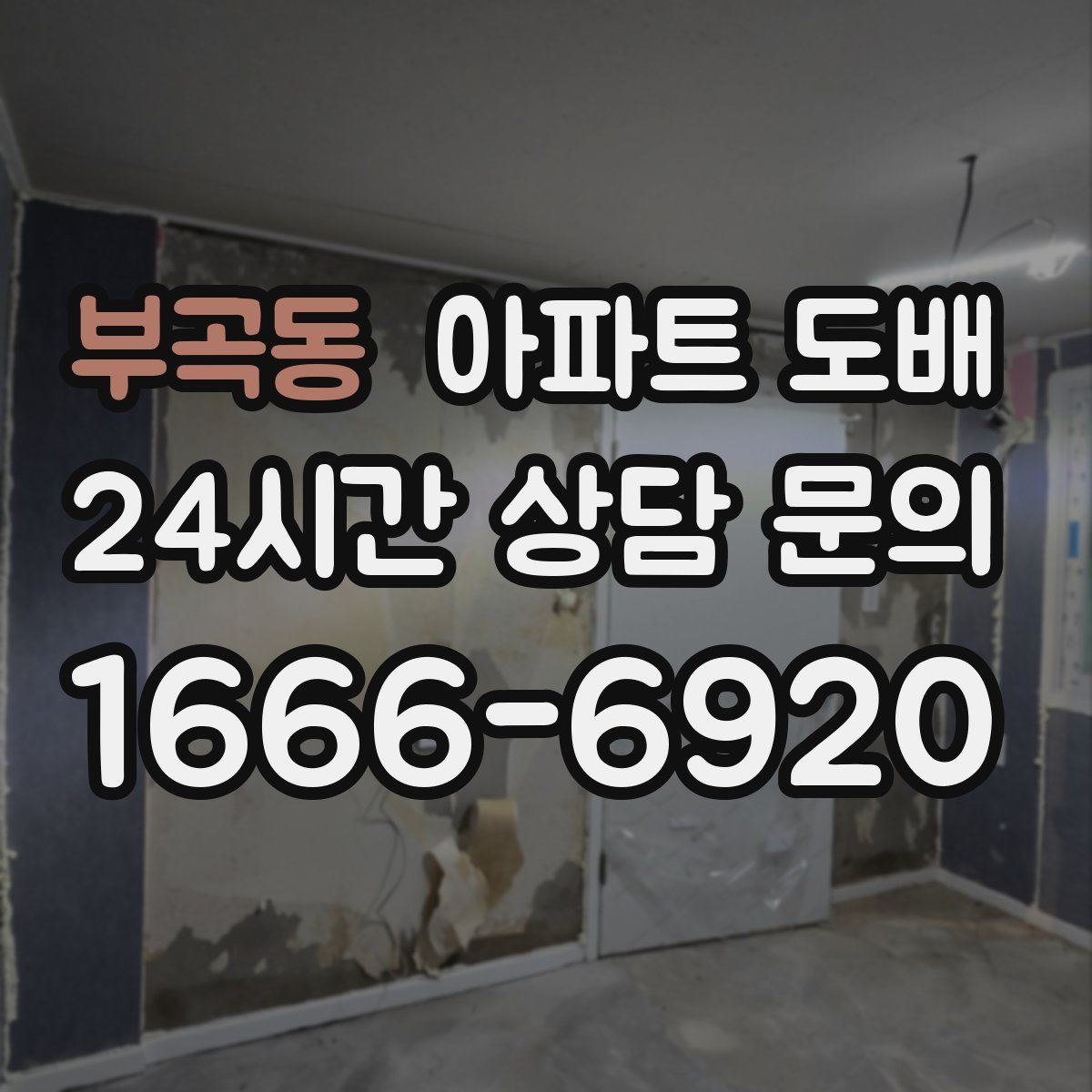 부곡동 아파트 도배
