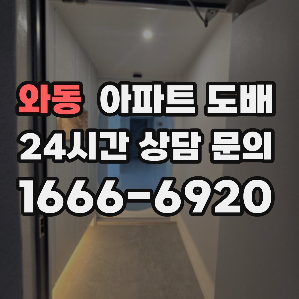 와동 아파트 도배