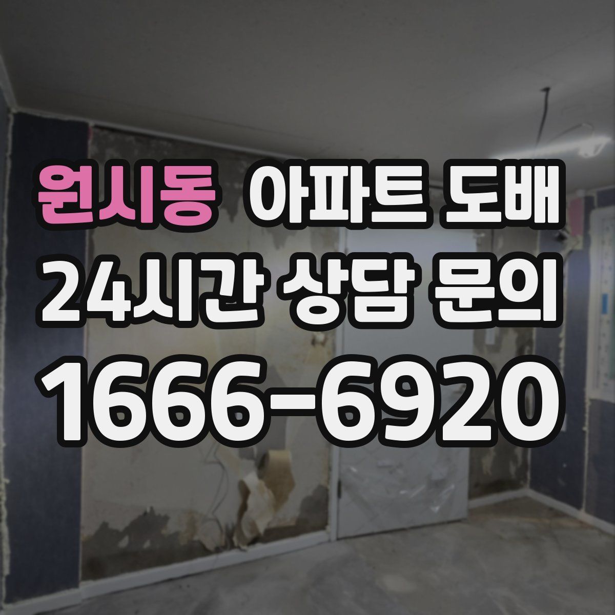 원시동 아파트 도배