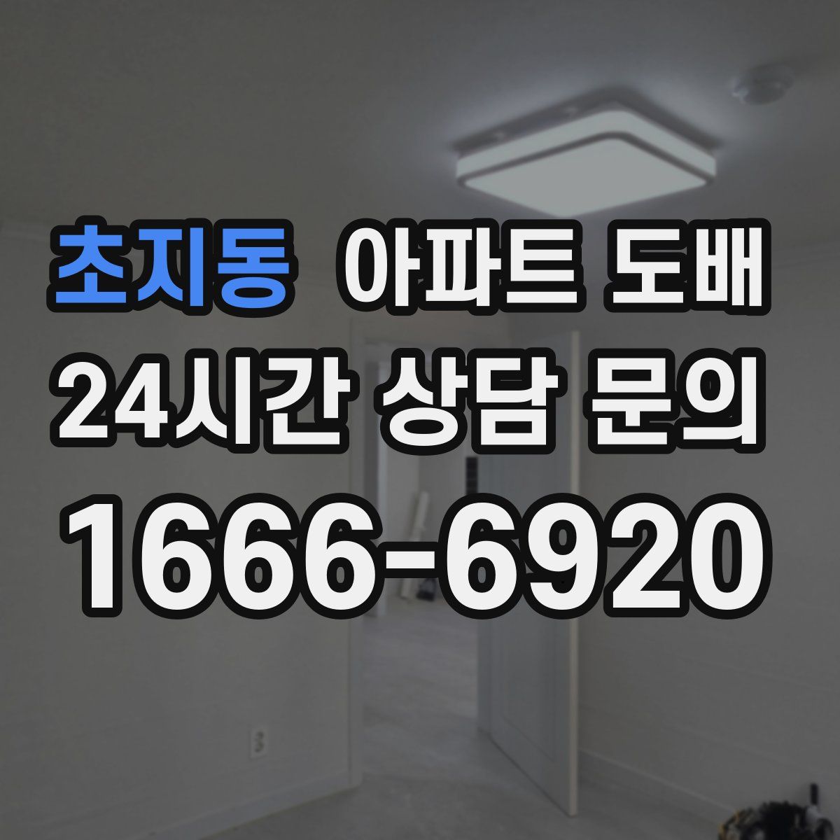 초지동 아파트 도배