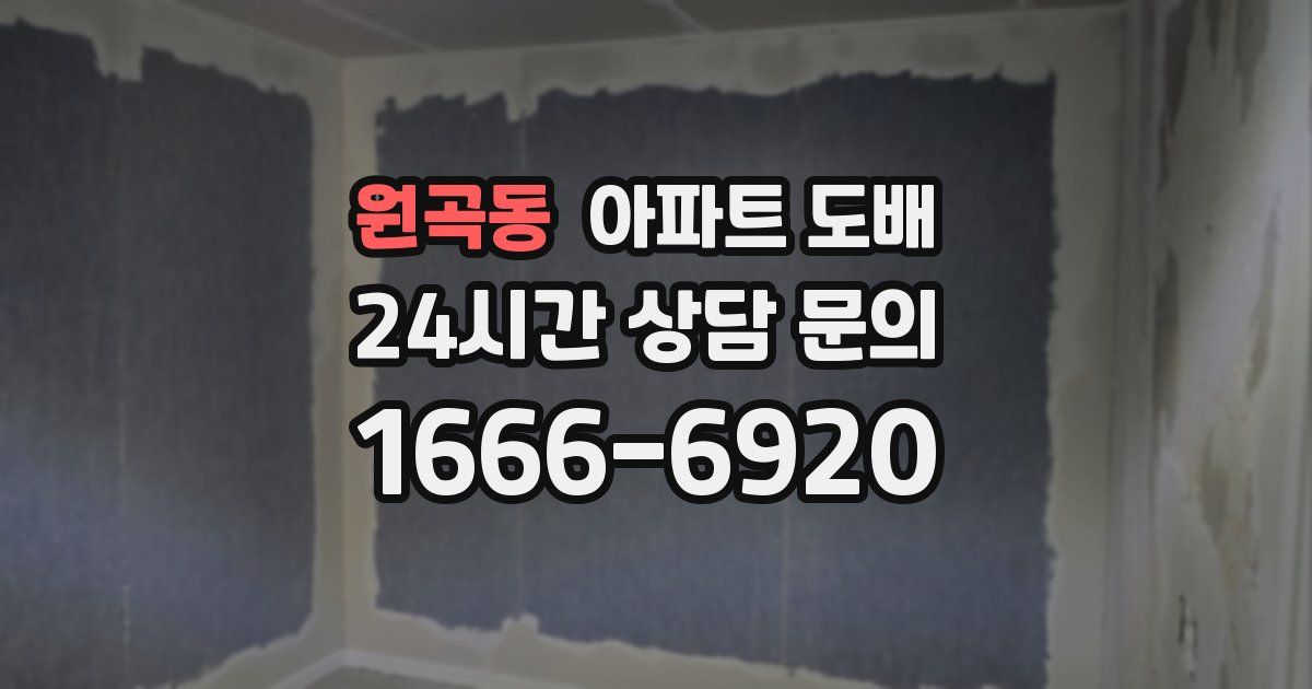 원곡동 아파트 도배
