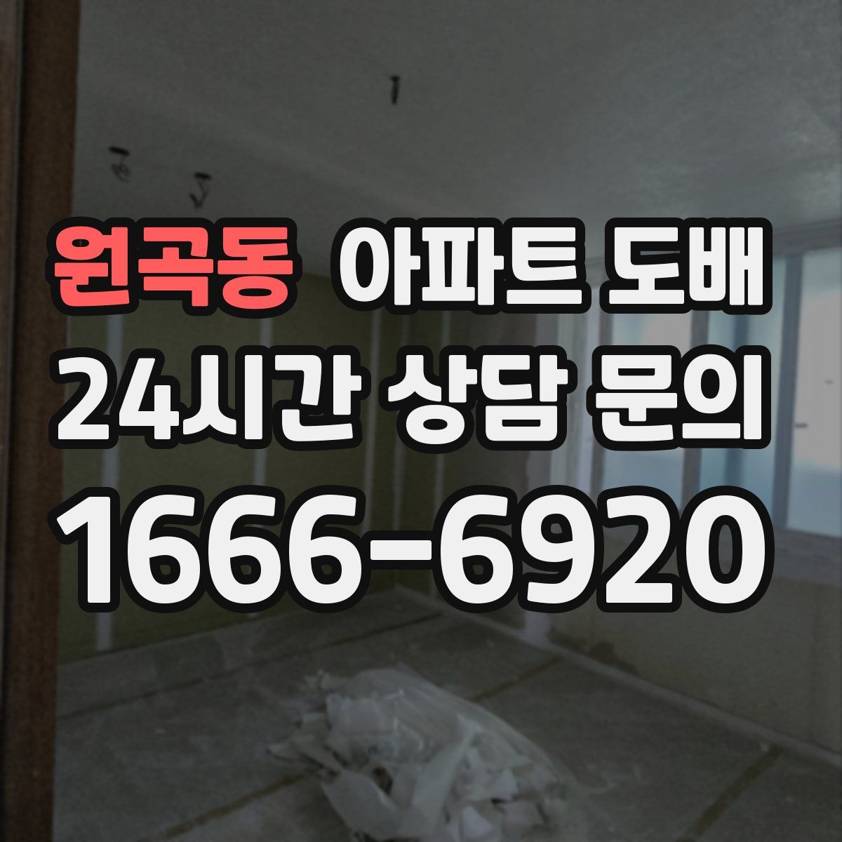 원곡동 아파트 도배