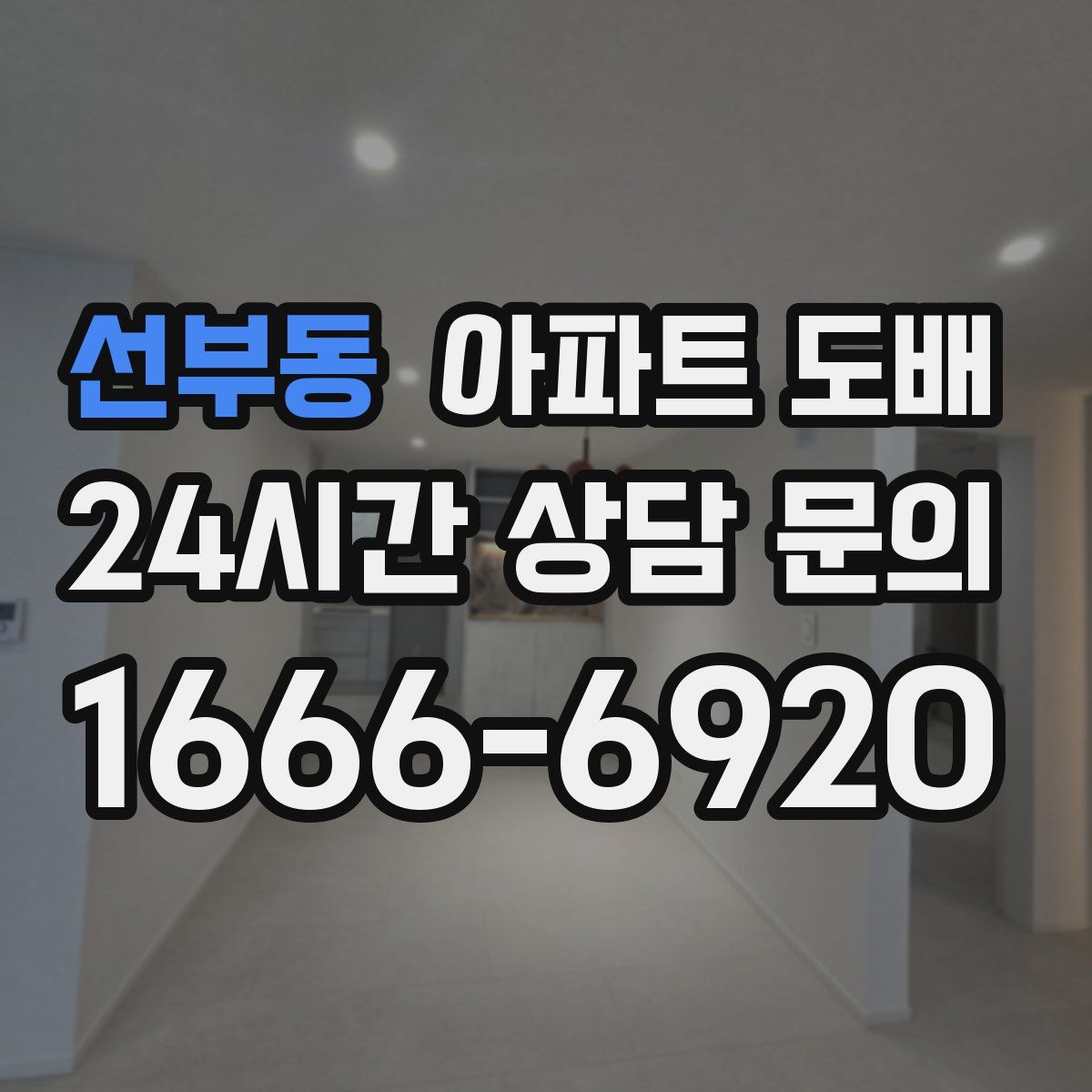 선부동 아파트 도배