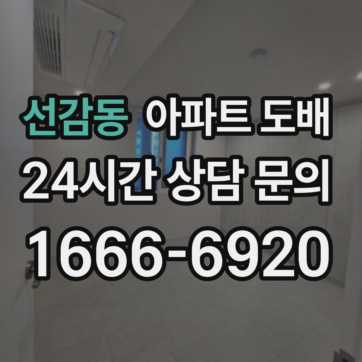 선감동 아파트 도배