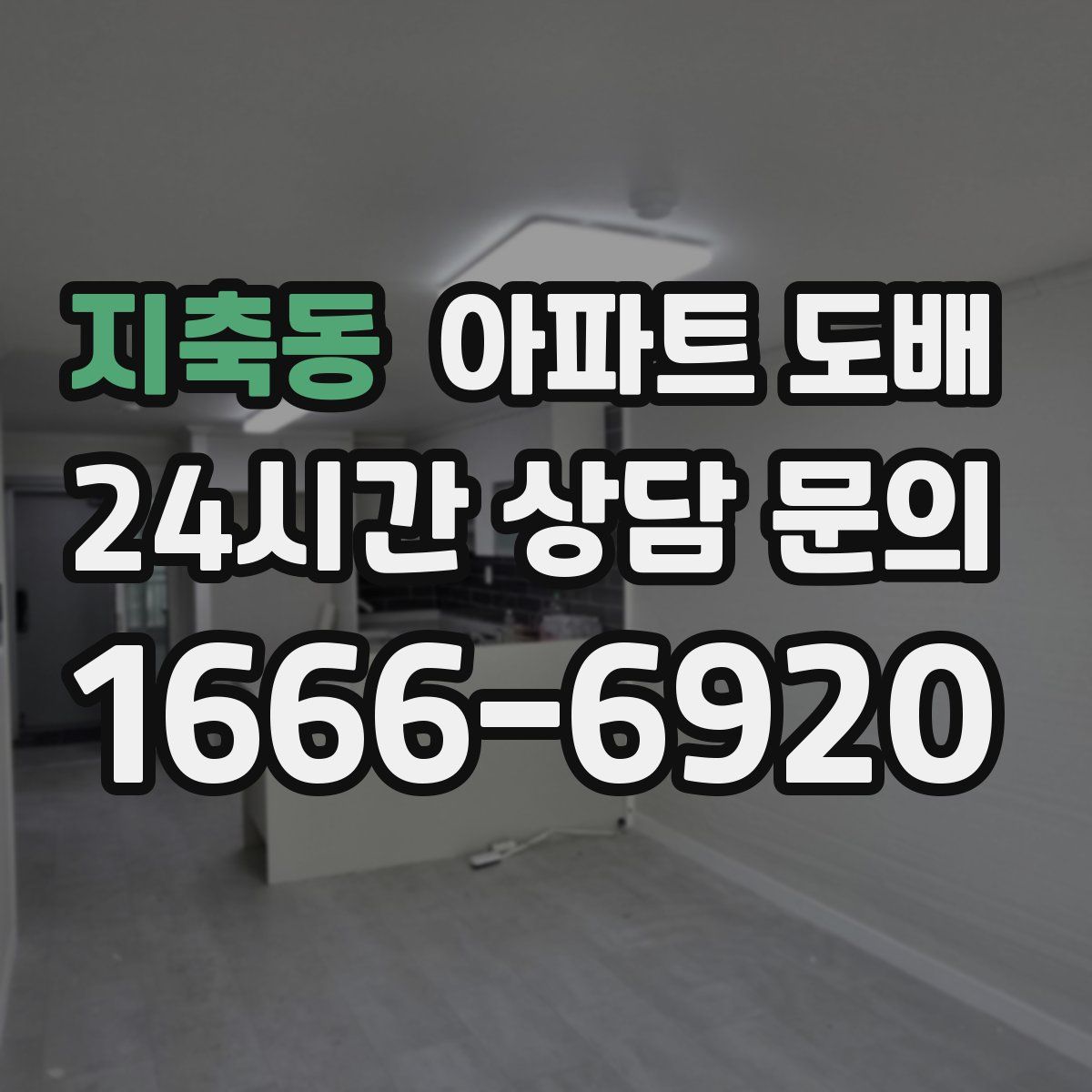 지축동 아파트 도배