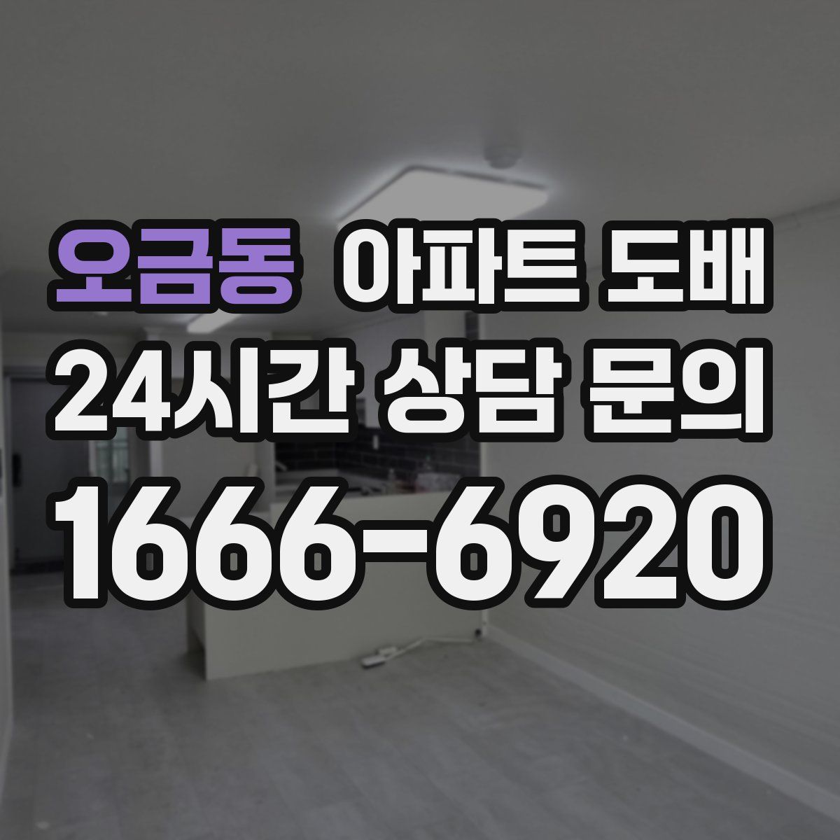 오금동 아파트 도배