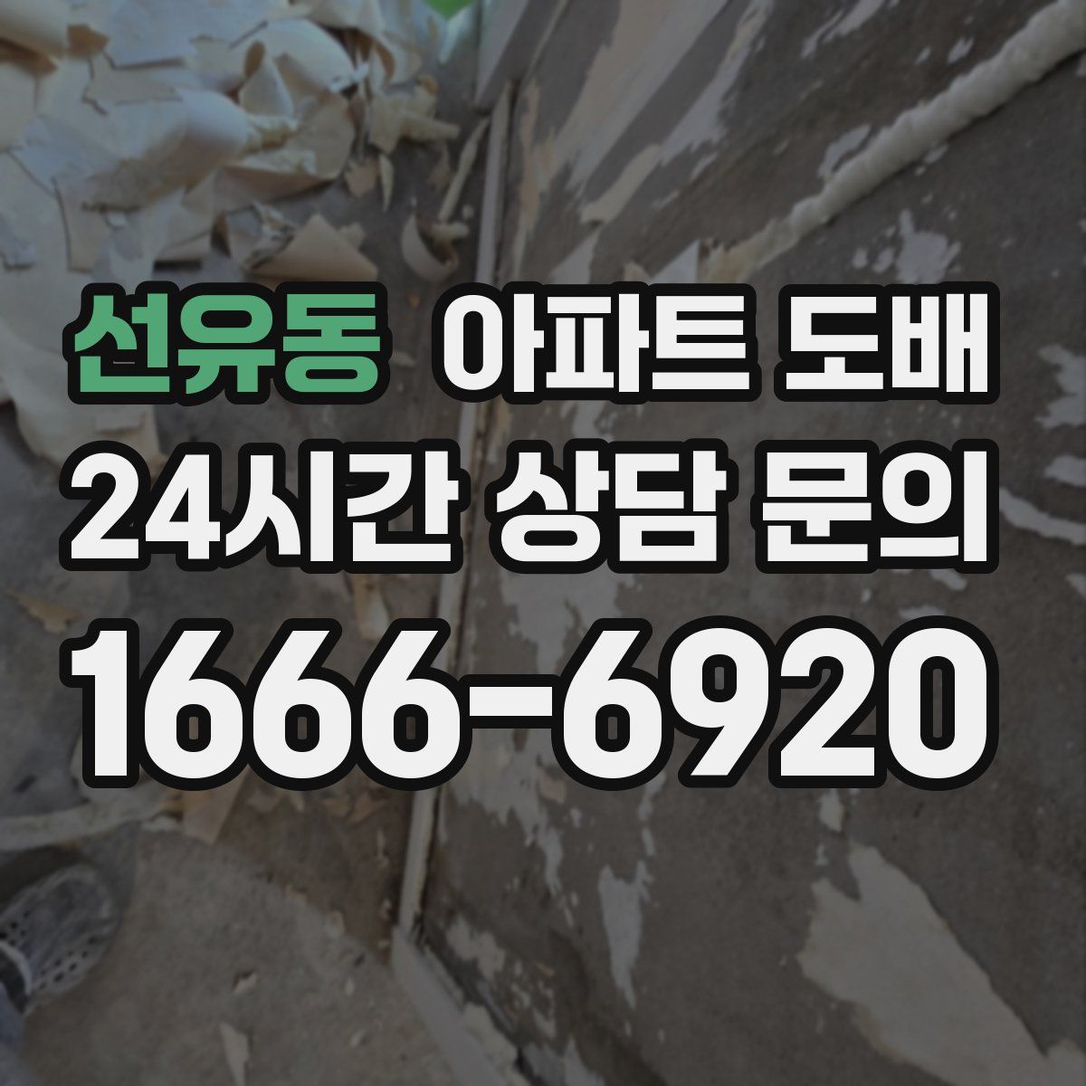 선유동 아파트 도배