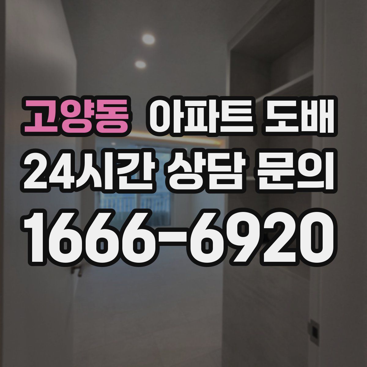 고양동 아파트 도배