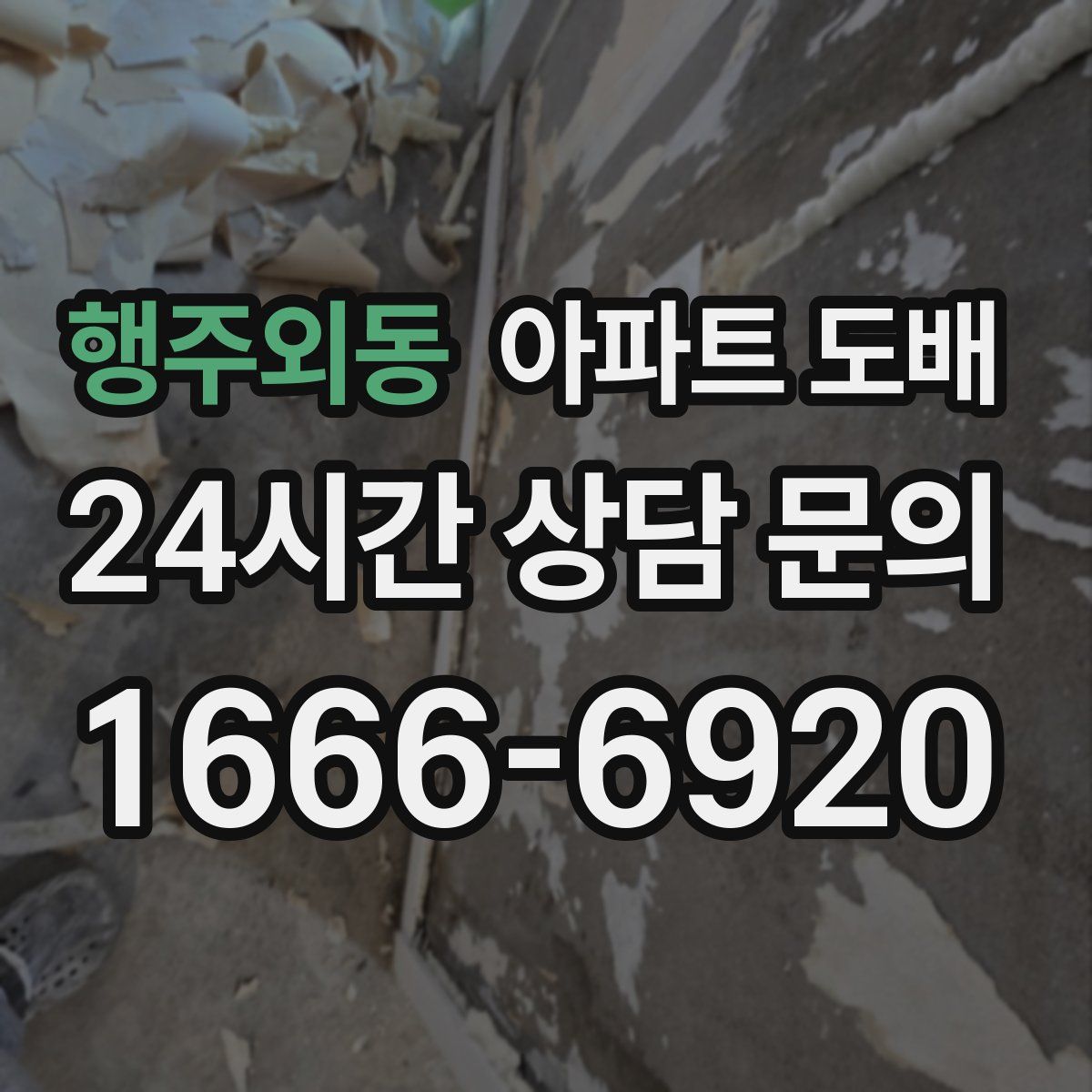 행주외동 아파트 도배