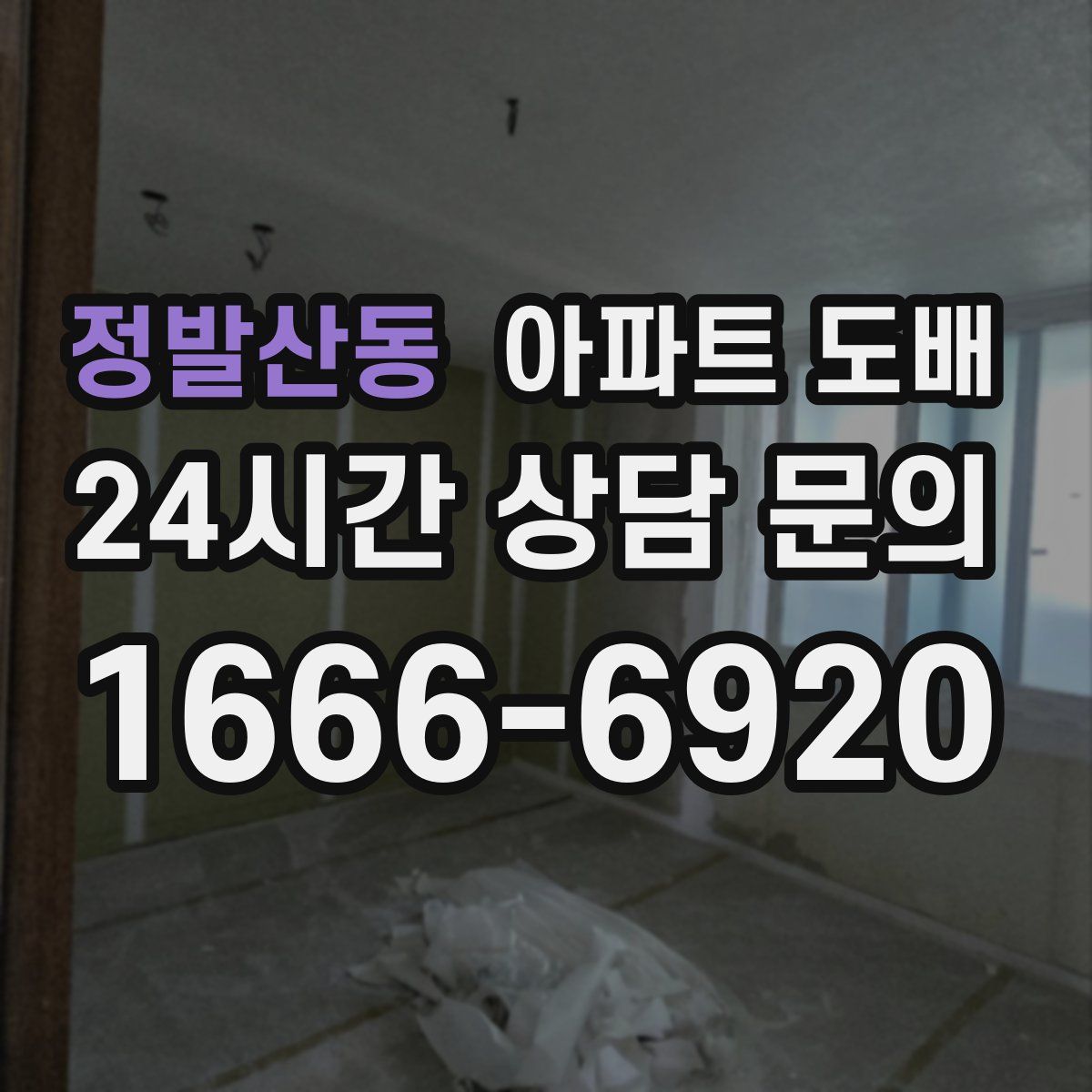 정발산동 아파트 도배