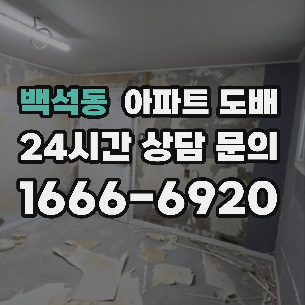 백석동 아파트 도배