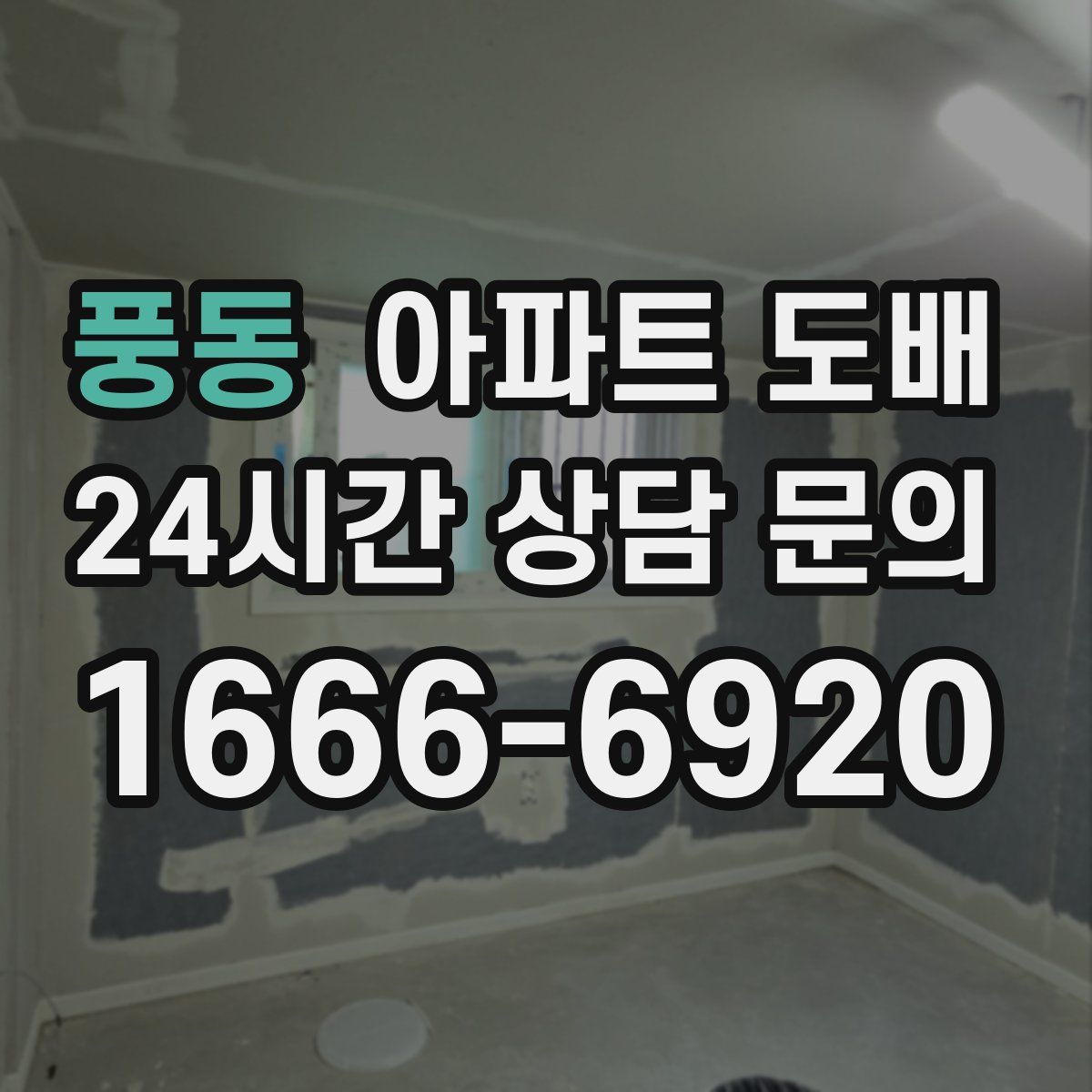 풍동 아파트 도배