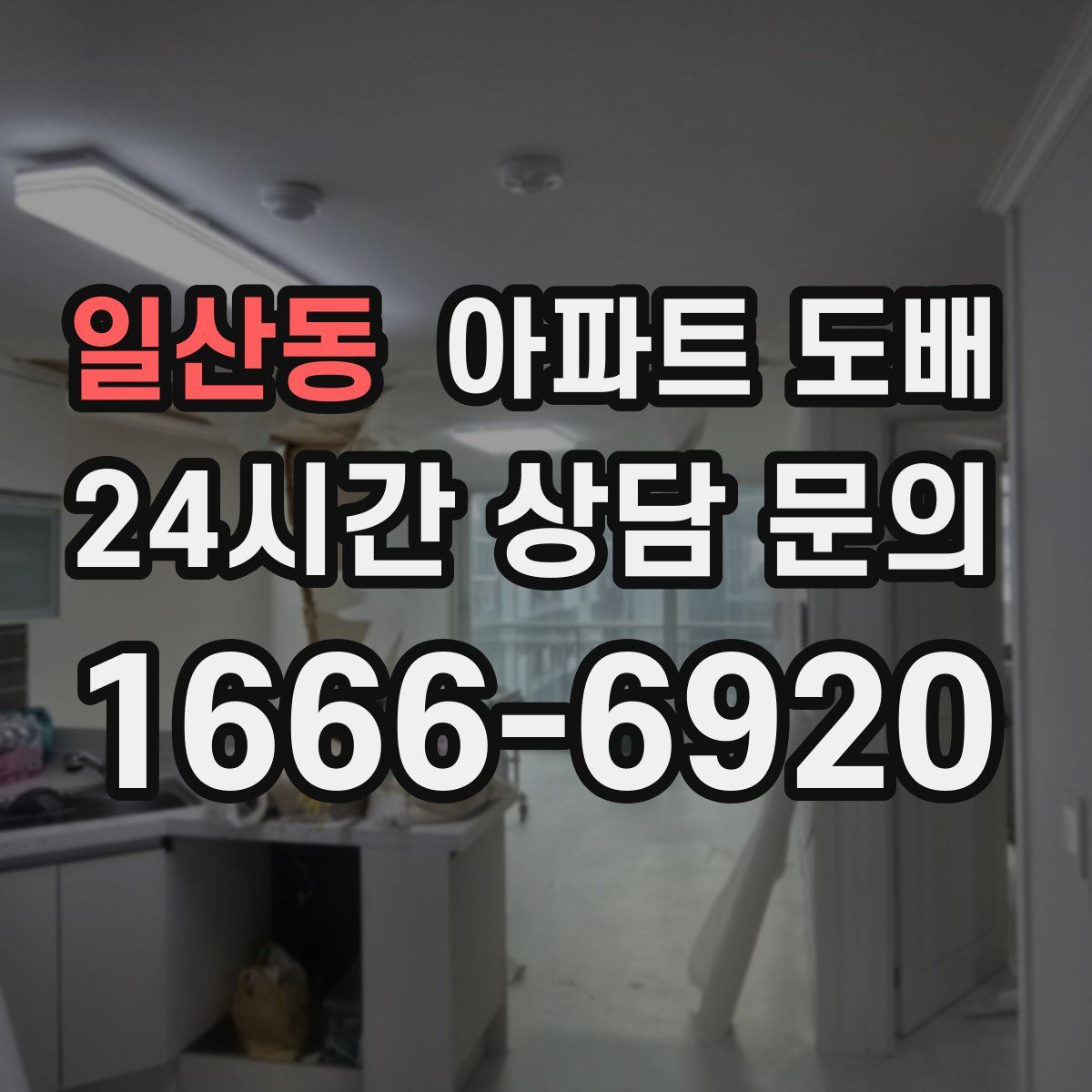 일산동 아파트 도배