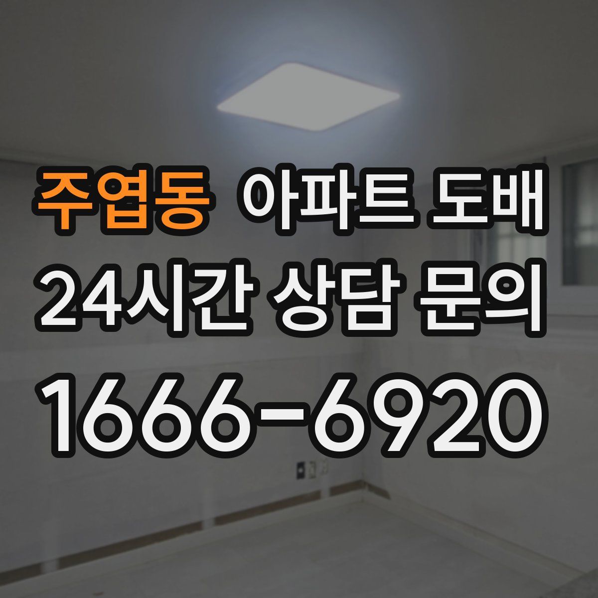 주엽동 아파트 도배