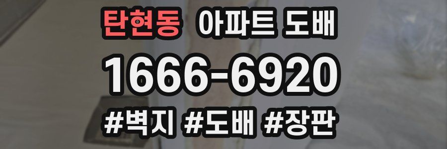 탄현동 아파트 도배