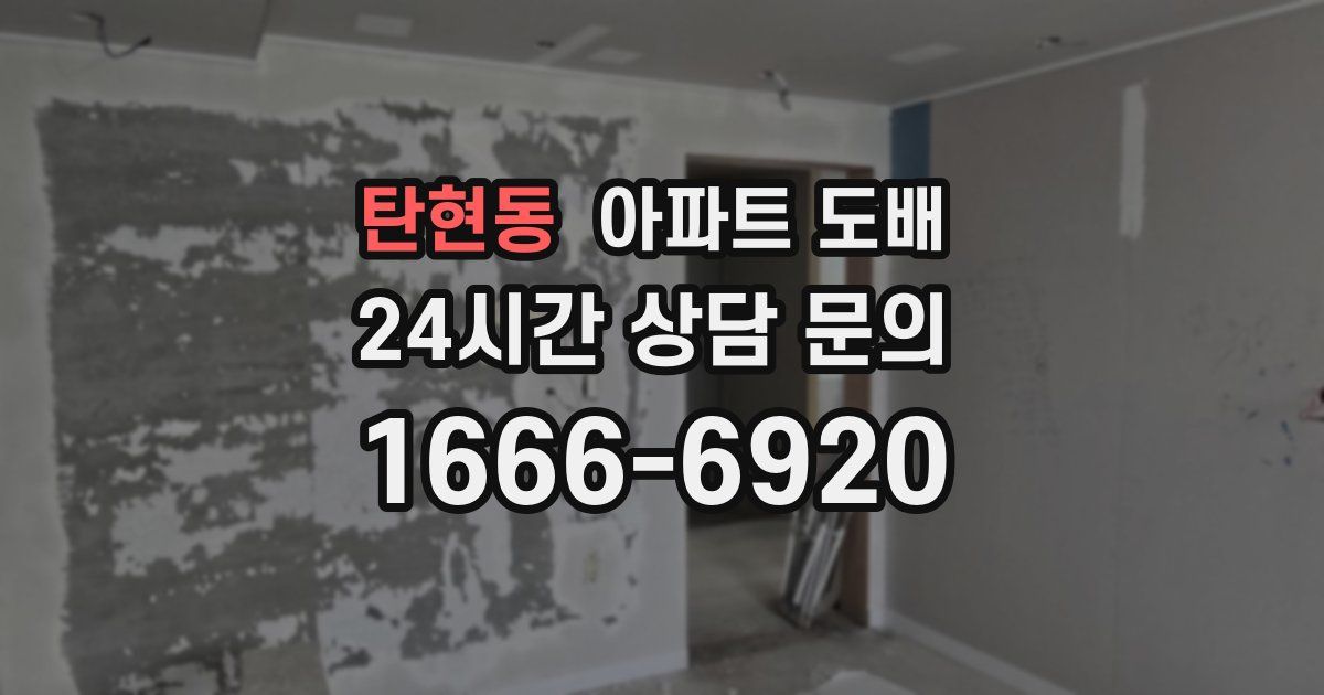 탄현동 아파트 도배