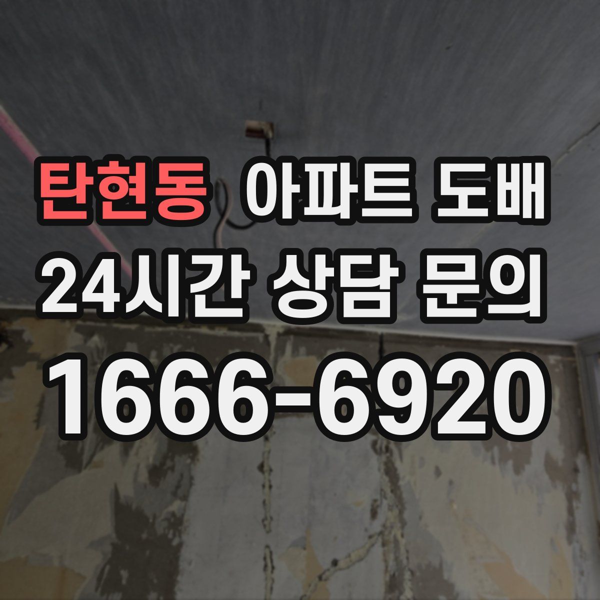 탄현동 아파트 도배