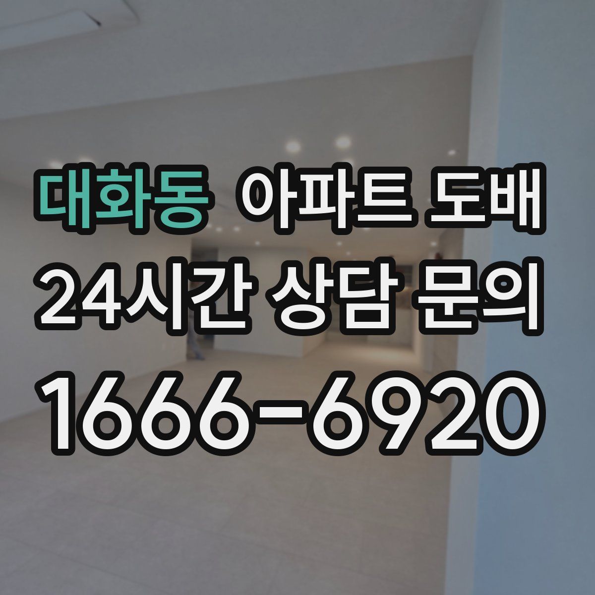 대화동 아파트 도배