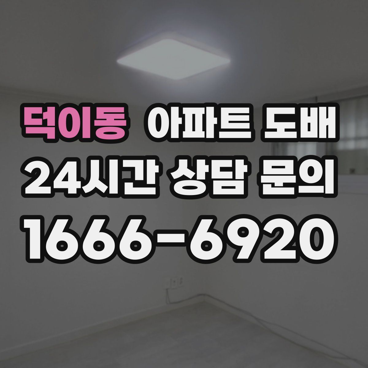 덕이동 아파트 도배
