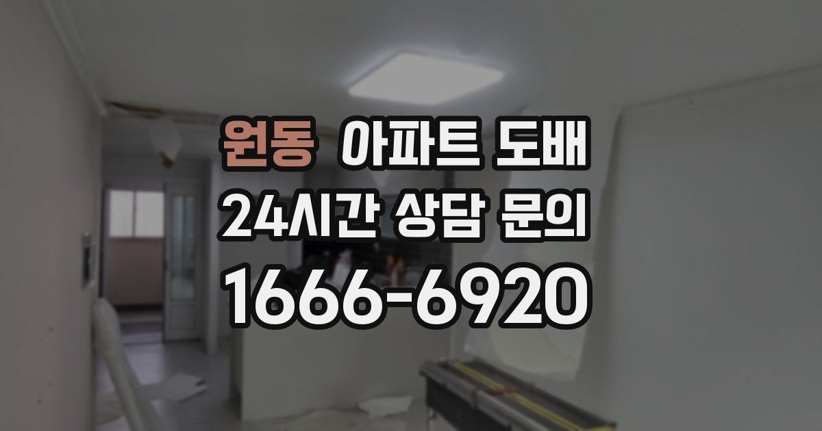 원동 아파트 도배