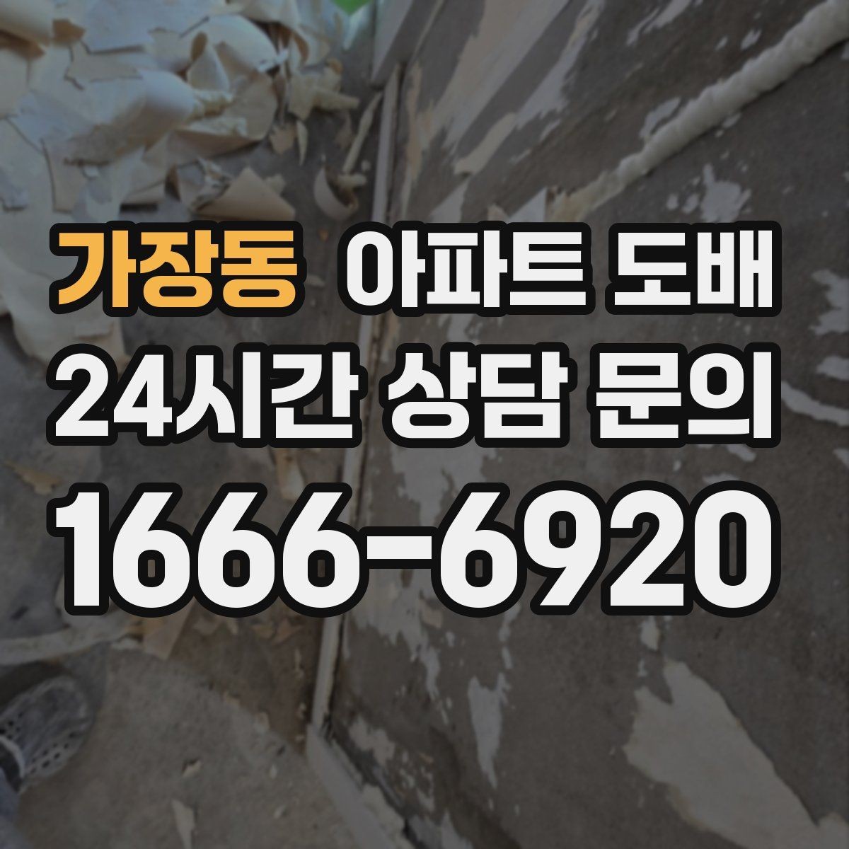 가장동 아파트 도배 비용과 공사 전 확인할 점