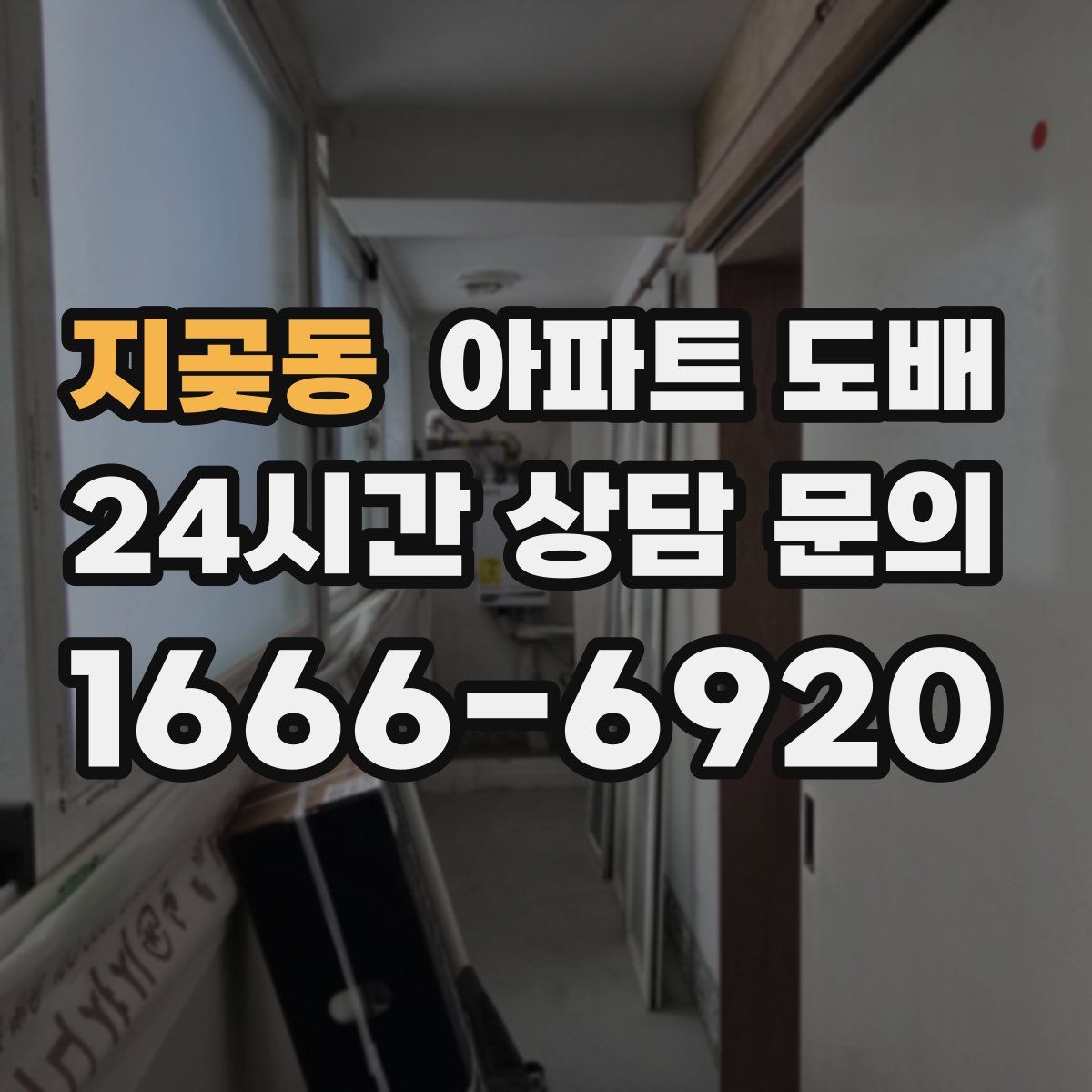 지곶동 아파트 도배
