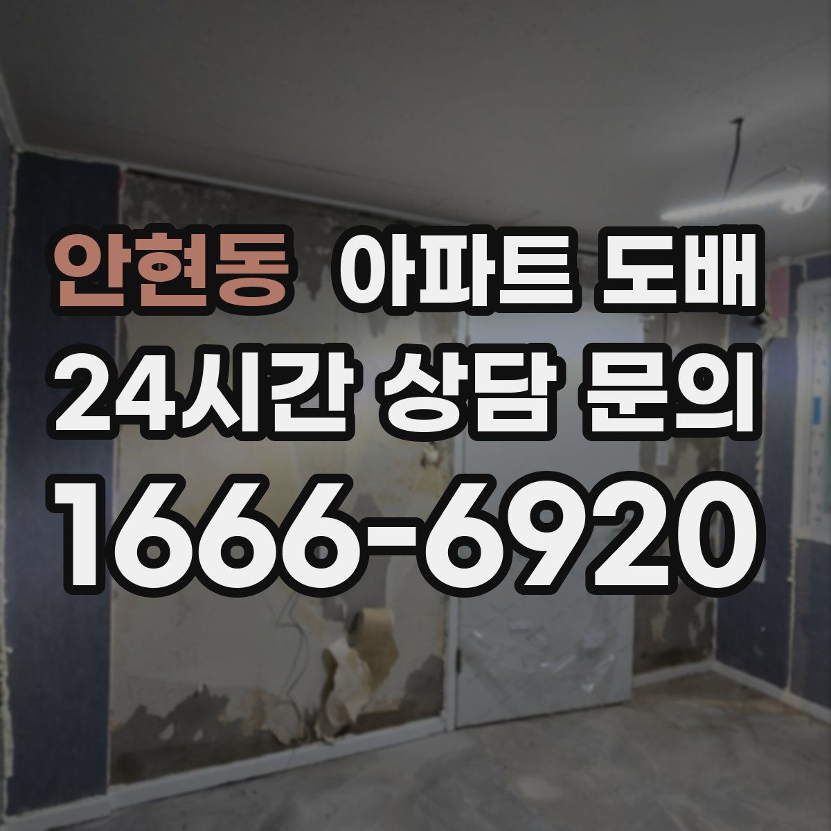 안현동 아파트 도배