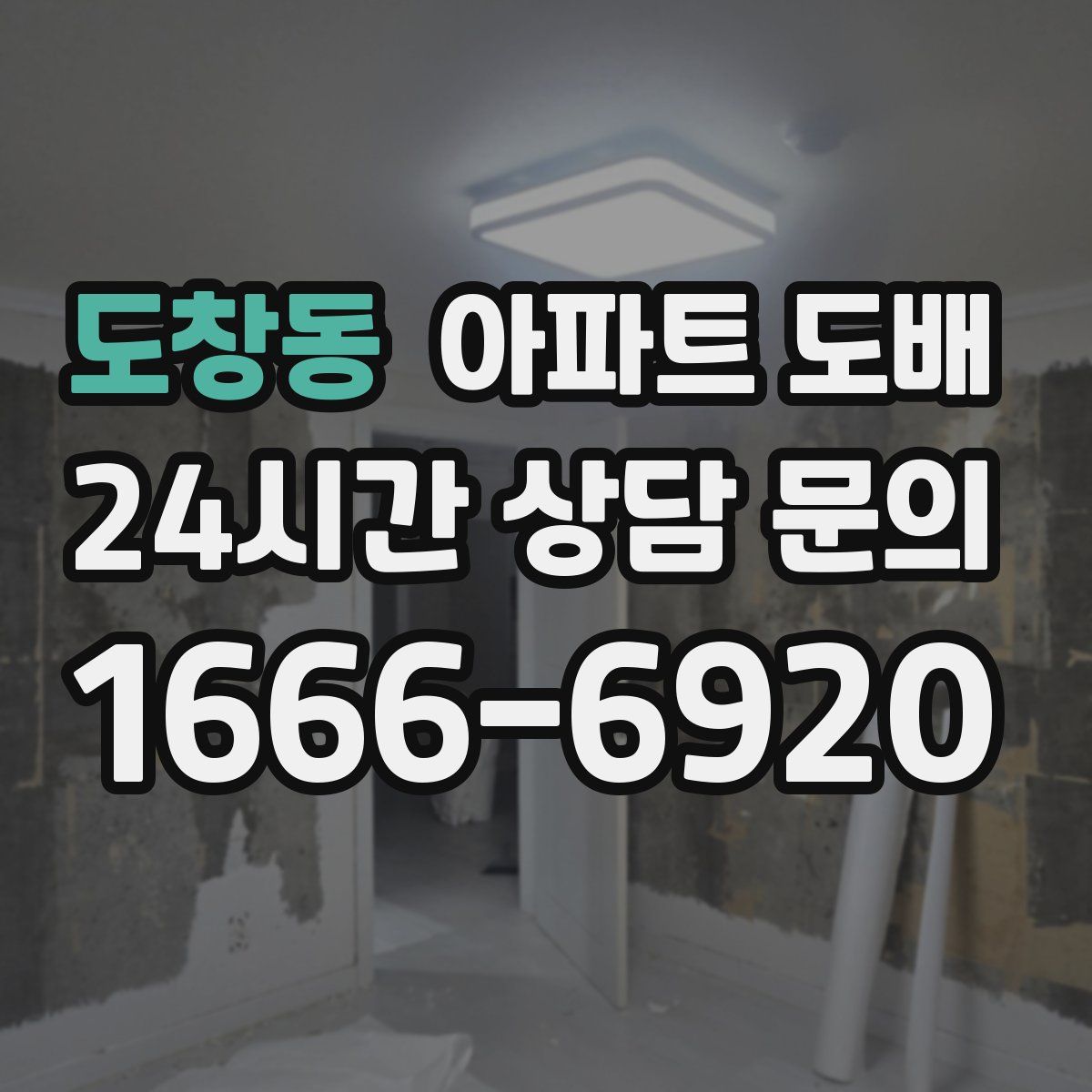 도창동 아파트 도배