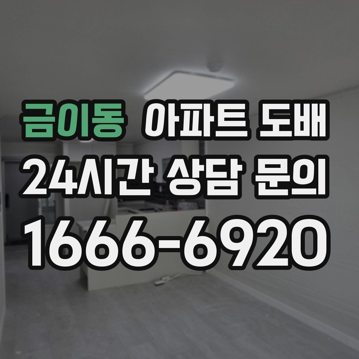 금이동 아파트 도배