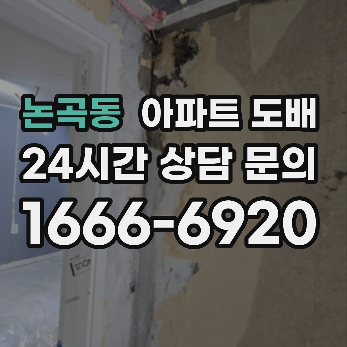 논곡동 아파트 도배