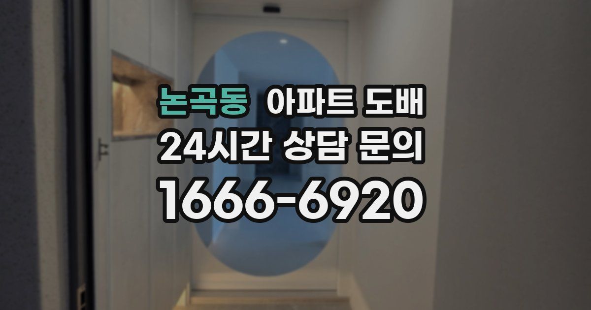 논곡동 아파트 도배