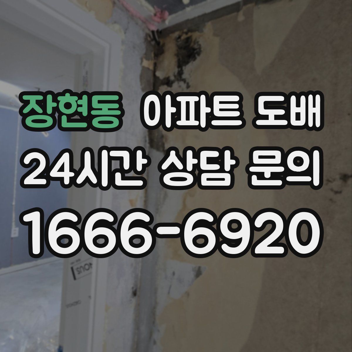 장현동 아파트 도배
