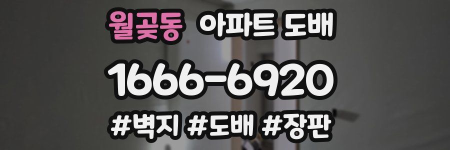 월곶동 아파트 도배