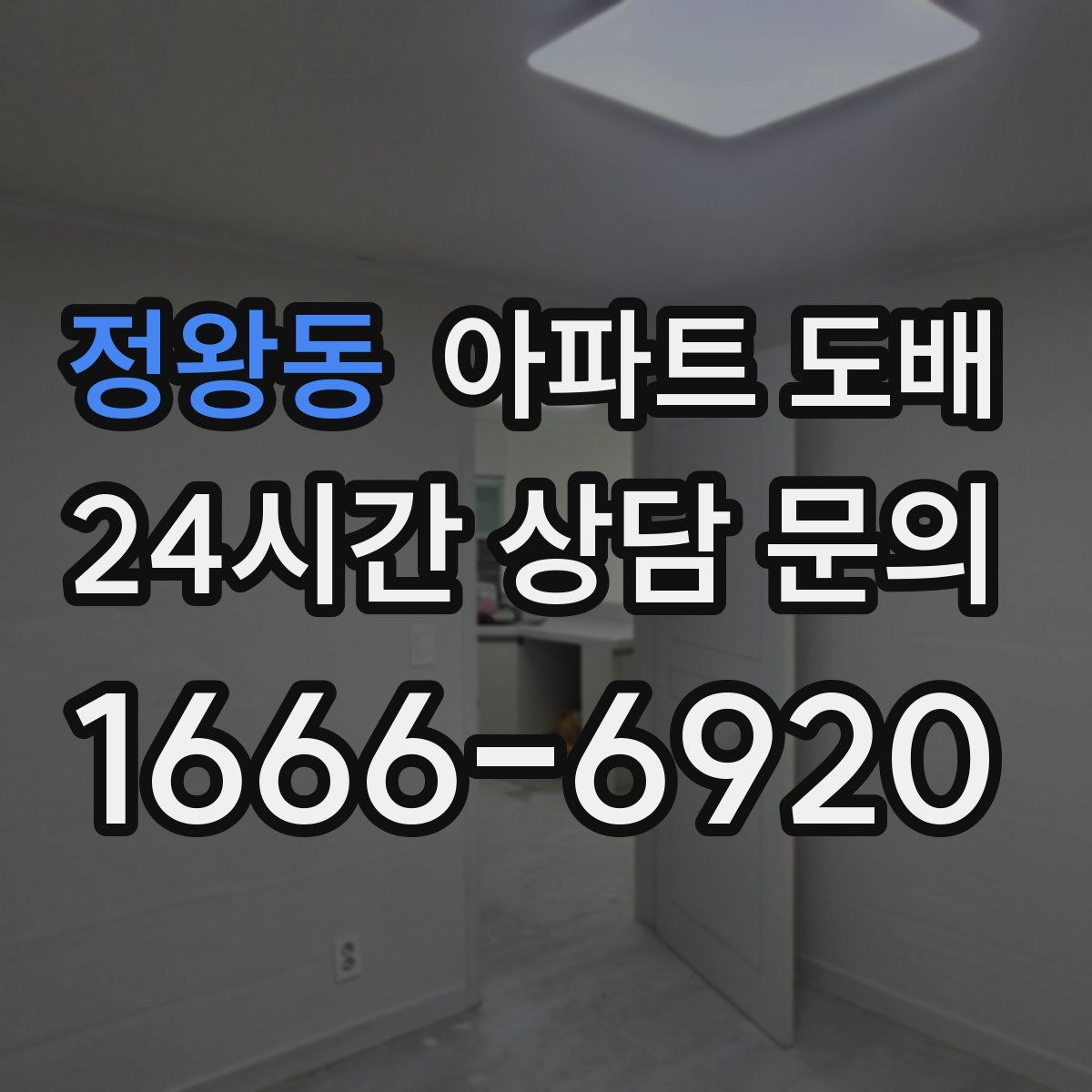 정왕동 아파트 도배