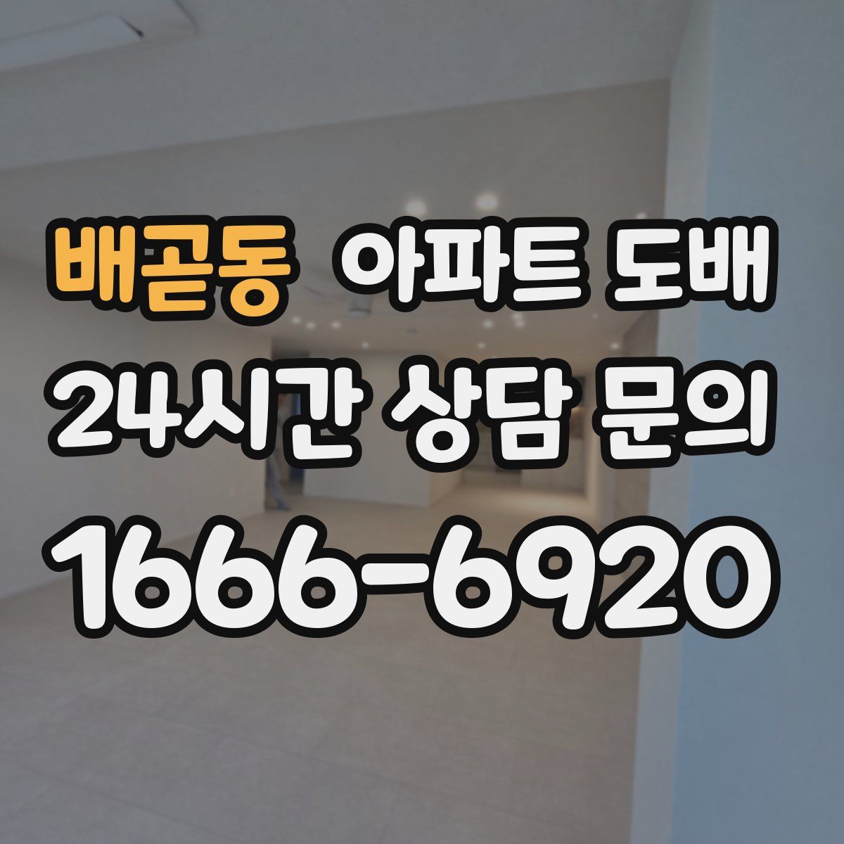 배곧동 아파트 도배