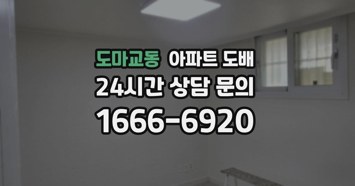 도마교동 아파트 도배