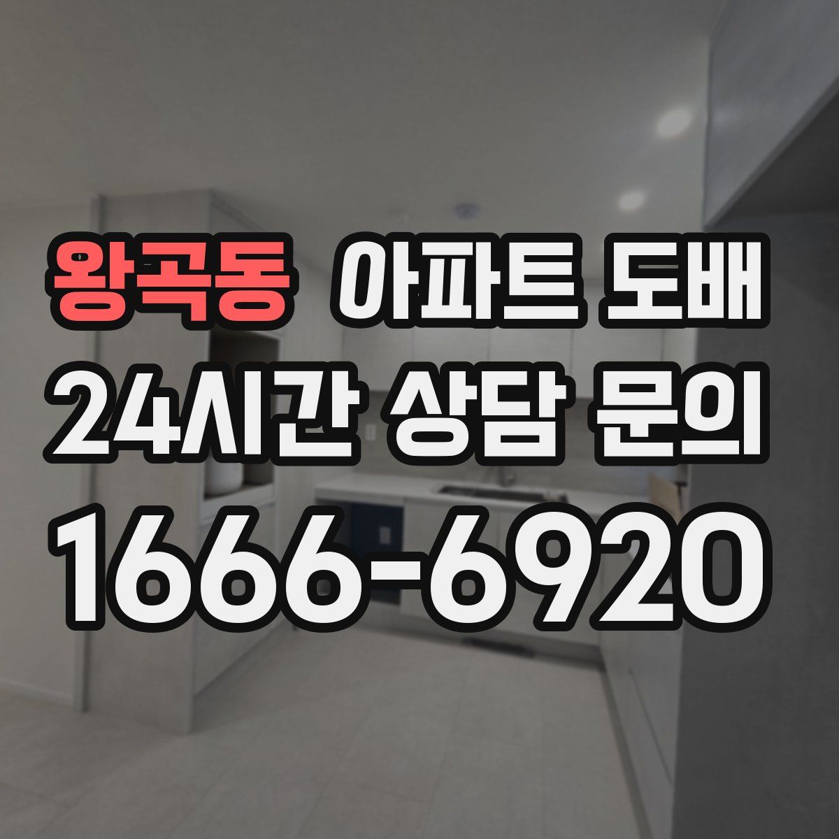 왕곡동 아파트 도배