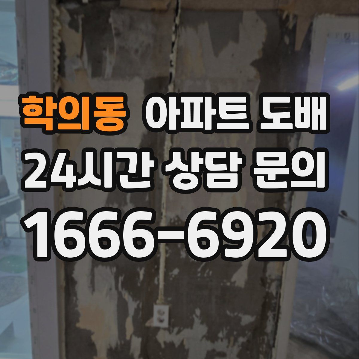 학의동 아파트 도배